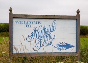 Northside Farm Wedding Ashleigh & Ben 1