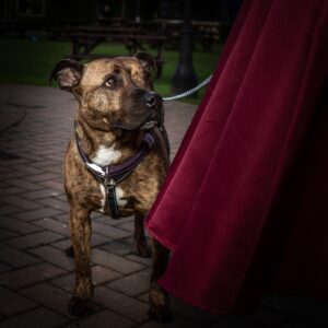 South Causey Wedding Louise & Andrew13